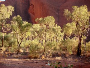 uluru03