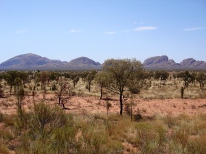 uluru22
