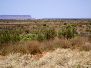 uluru23