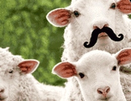 asyoulikeit11jul2014w260h200