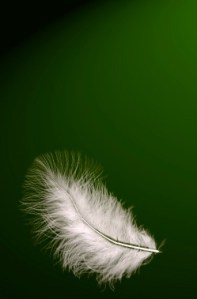 Phoenix-web-production-page