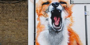 we-know-where-you-live-main