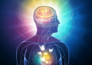 in-fidelity-LST207871